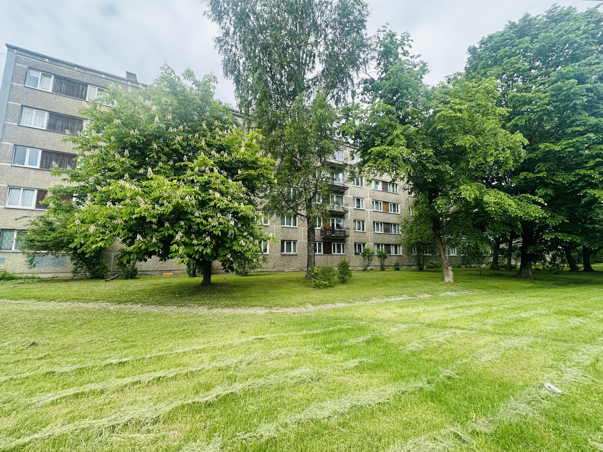 Property 21