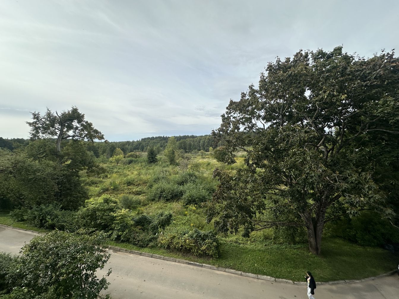 Property 27