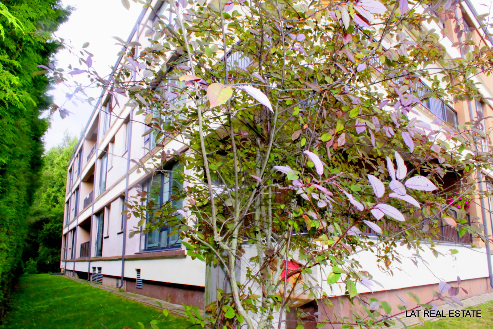 Property 28