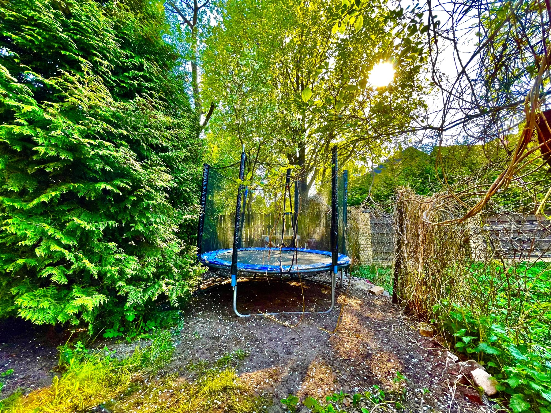 Property 34