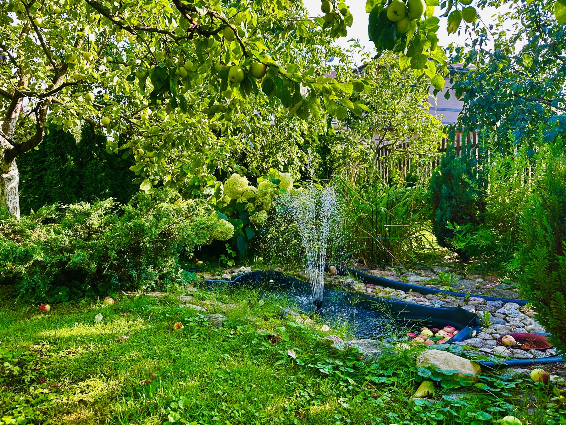 Property 51